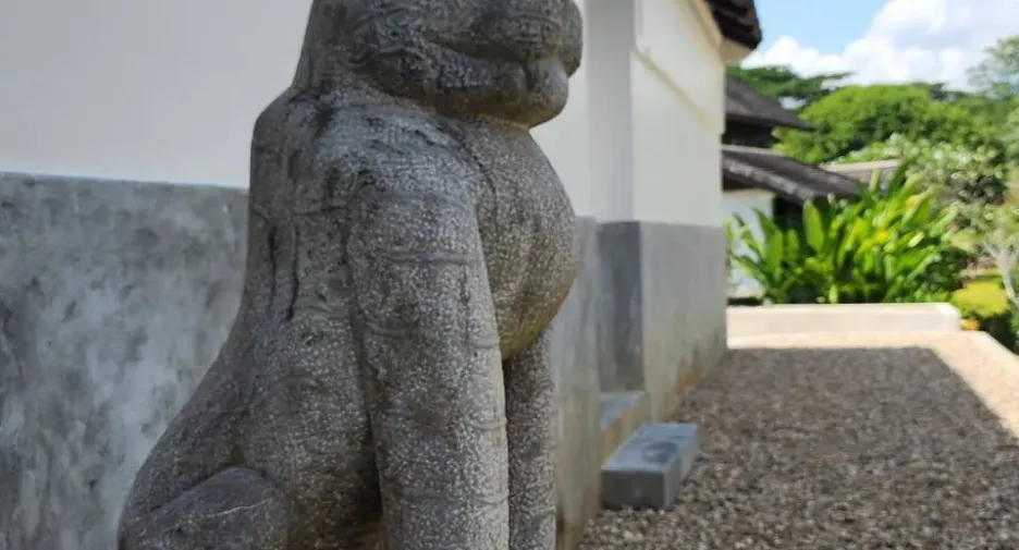 For sale 5 bedrooms house in Mae Rim, Chiang Mai