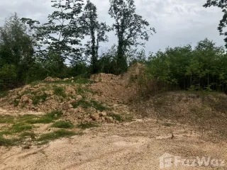 For sale land in Tha Yang, Phetchaburi