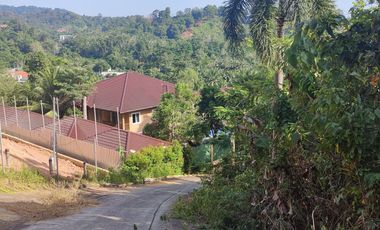 For sale land in Kathu, Phuket