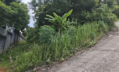 For sale land in Kathu, Phuket