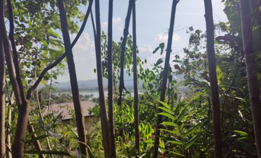 For sale land in Kathu, Phuket
