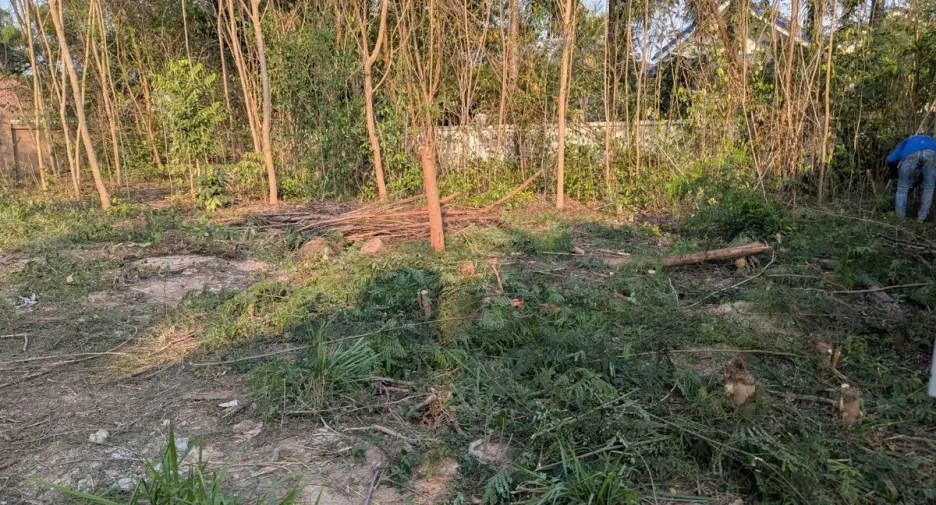 出售 土地 在 Bang Lamung, Chon Buri