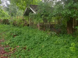 À vendre 14 chambres maison à Klaeng, Rayong