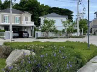 For rent and for sale 2 bedrooms house in Prawet, Bangkok