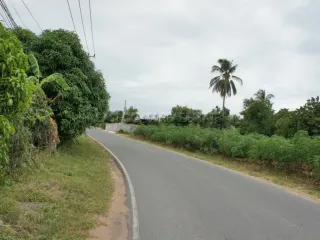 For sale land in Bang Saray, Pattaya