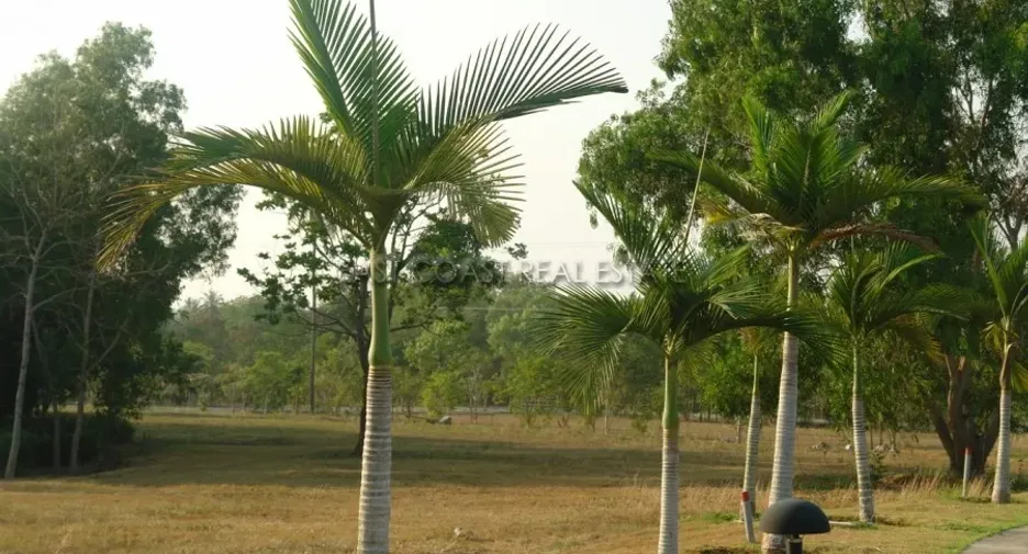 For sale land in Bang Saray, Pattaya