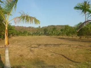 For sale land in Bang Saray, Pattaya