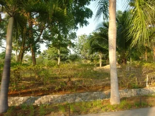 For sale land in Bang Saray, Pattaya