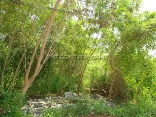 For sale land in Na Jomtien, Pattaya