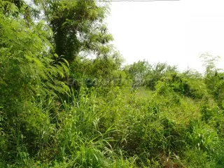 For sale land in Na Jomtien, Pattaya