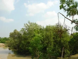 For sale land in Na Jomtien, Pattaya