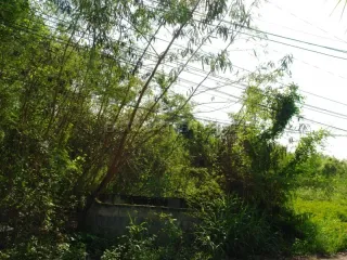 For sale land in Na Jomtien, Pattaya