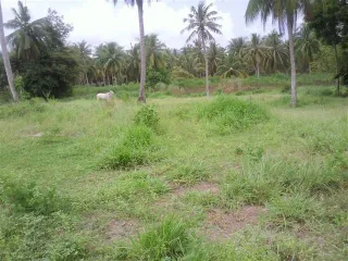 For rent 2 bedrooms house in Bang Lamung, Chonburi