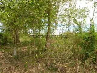 For sale land in Bang Saray, Pattaya