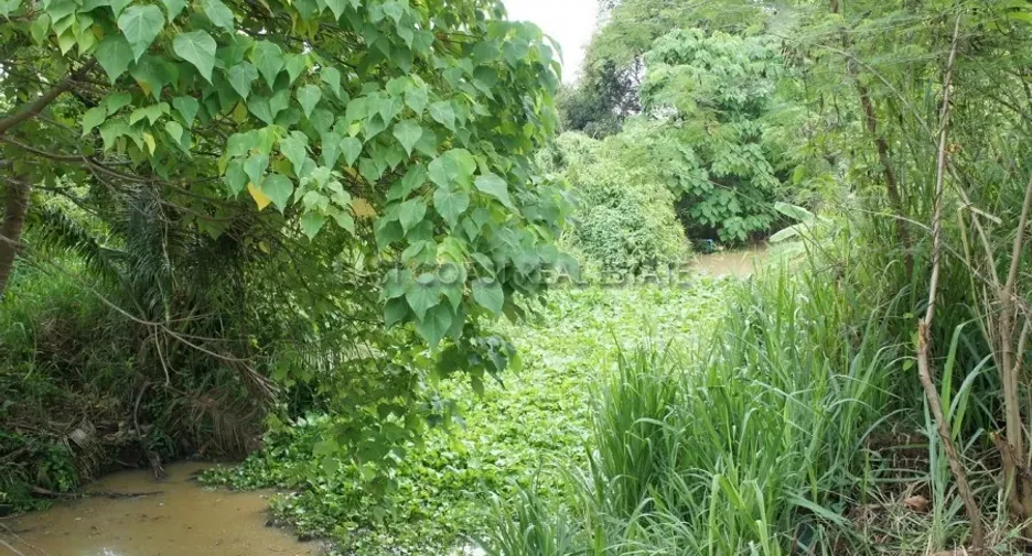 For sale land in Huay Yai, Pattaya