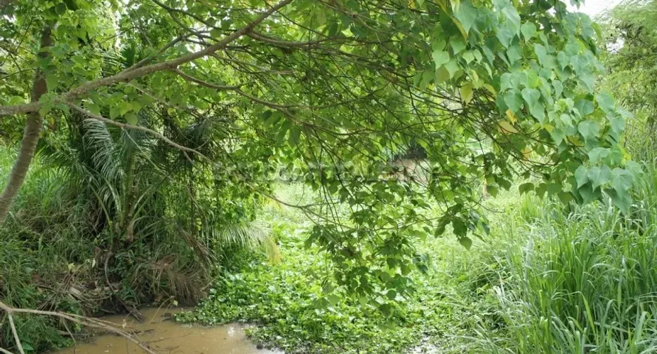For sale land in Huay Yai, Pattaya