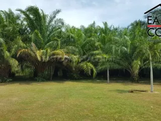 For sale land in Bang Lamung, Chonburi