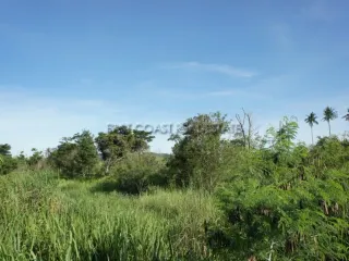 For sale land in Bang Saray, Pattaya