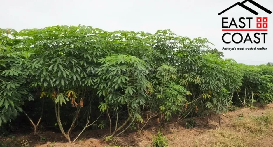 For sale land in Huay Yai, Pattaya