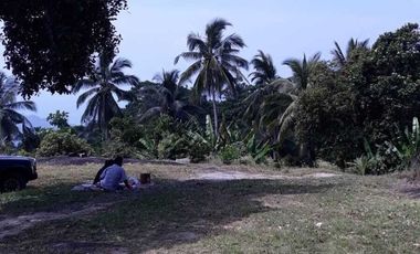 For sale land in Ko Samui, Surat Thani