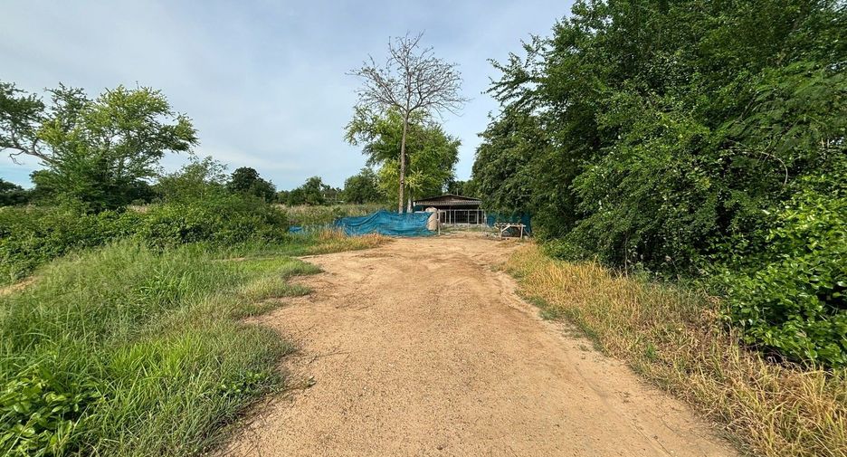 Grundstück zum Kauf in Kamphaeng Saen, Nakhon Pathom