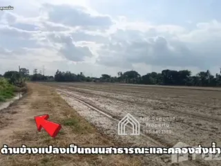 For sale land in Pho Thong, Ang Thong