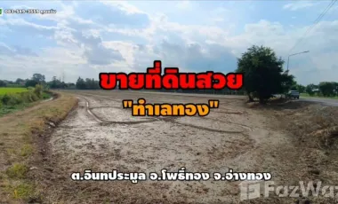 For sale land in Pho Thong, Ang Thong