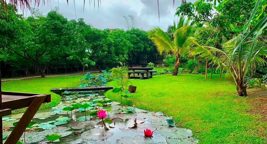 For rent 3 bedrooms house in Saraphi, Chiang Mai