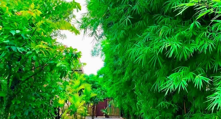 For rent 3 bedrooms house in Saraphi, Chiang Mai