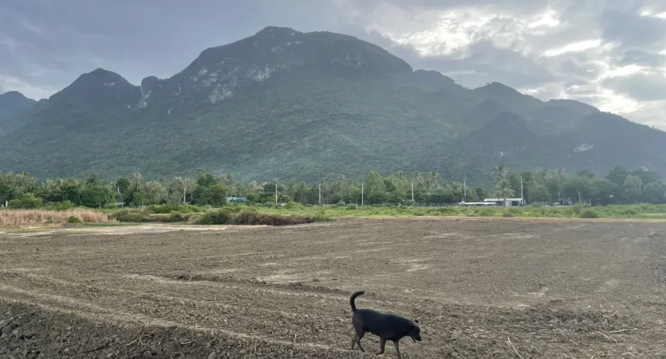 For sale land in Sam Roi Yot, Prachuap Khiri Khan