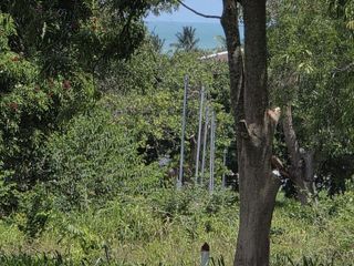 For sale land in Ko Samui, Surat Thani