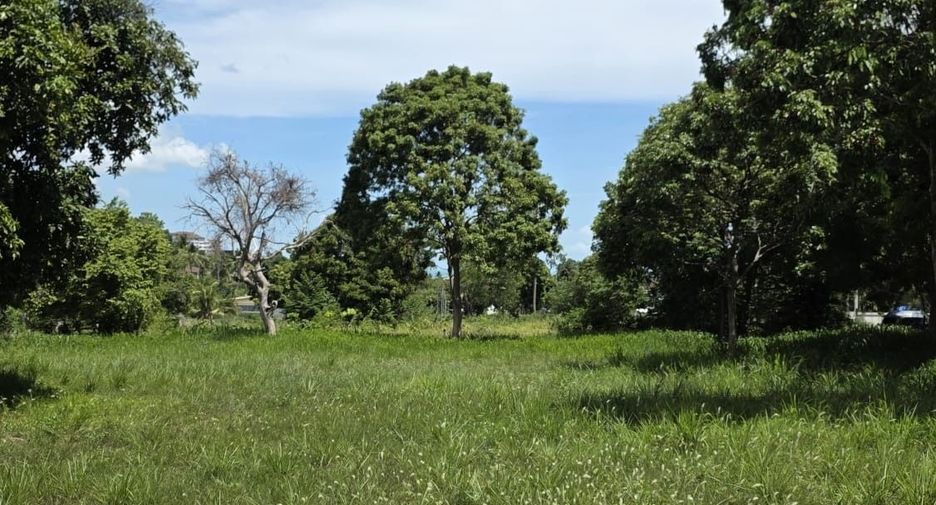 For sale land in Ko Samui, Surat Thani