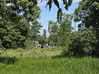 For sale land in Ko Samui, Surat Thani