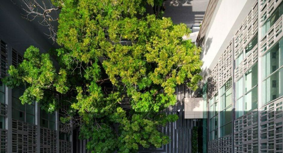 For sale and for rent 1 bed condo in Watthana, Bangkok
