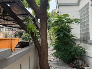 For rent 4 bedrooms townhouse in Bang Khae, Bangkok