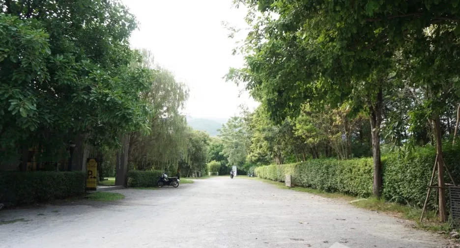 For rent office in Mueang Chiang Mai, Chiang Mai