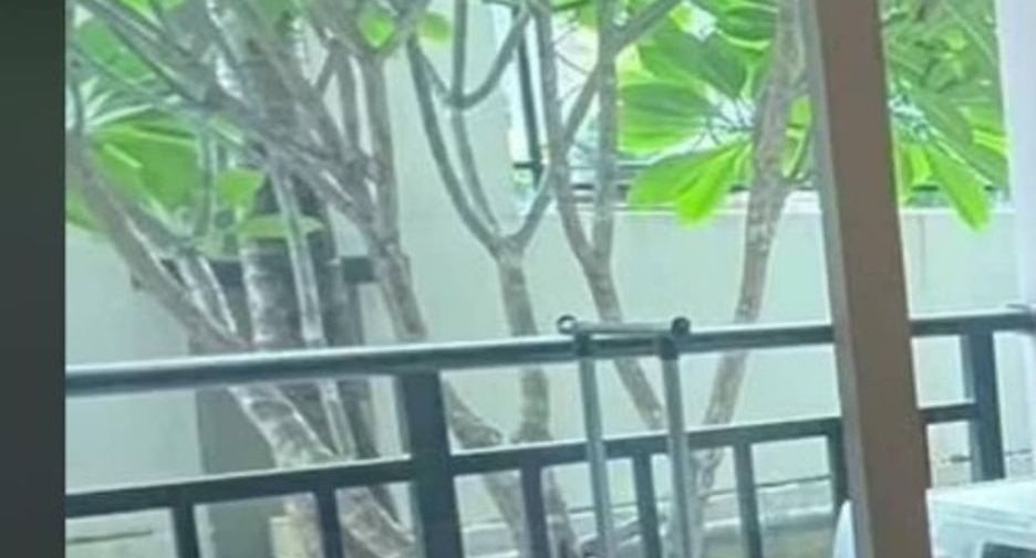 Wohnung zur Miete mit 1 Zimmer in Bang Lamung, Chonburi