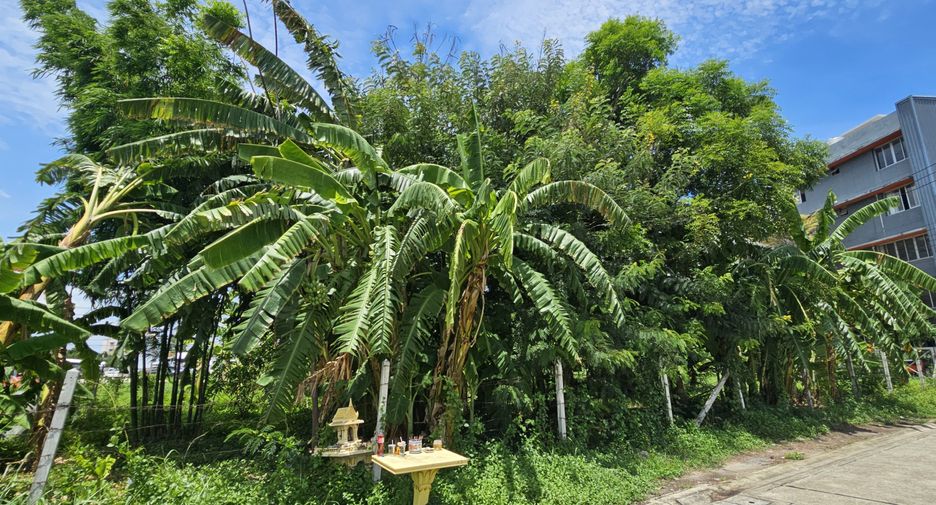 For sale land in Mueang Samut Prakan, Samut Prakan