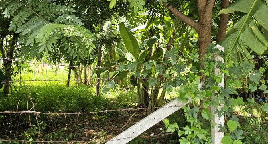 For sale land in Mueang Samut Prakan, Samut Prakan