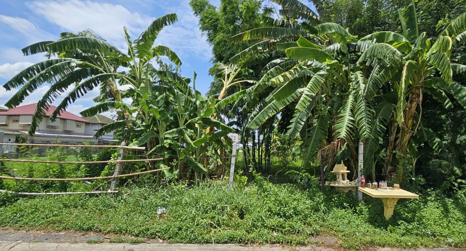 For sale land in Mueang Samut Prakan, Samut Prakan