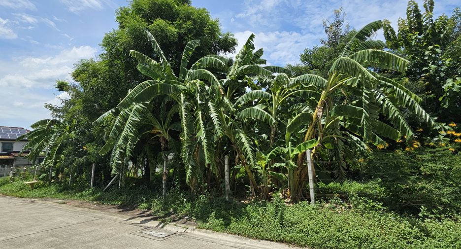 For sale land in Mueang Samut Prakan, Samut Prakan