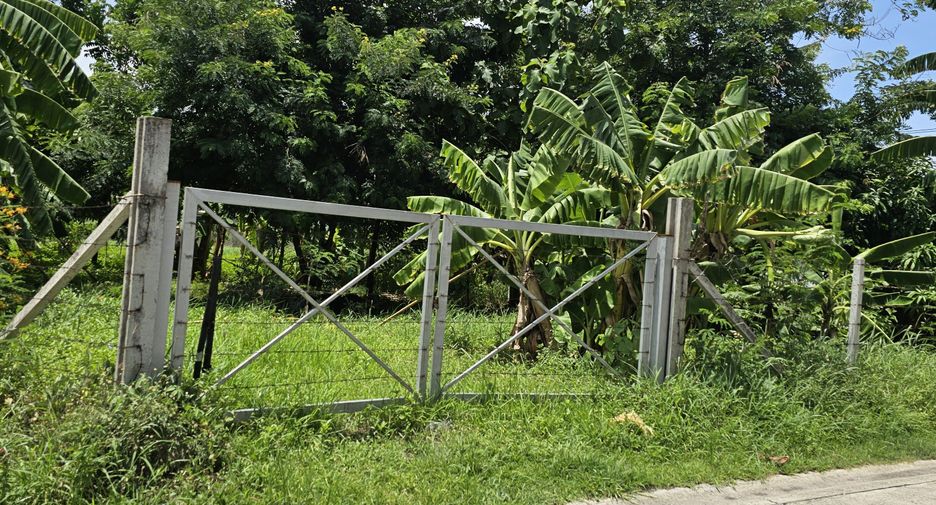 For sale land in Mueang Samut Prakan, Samut Prakan