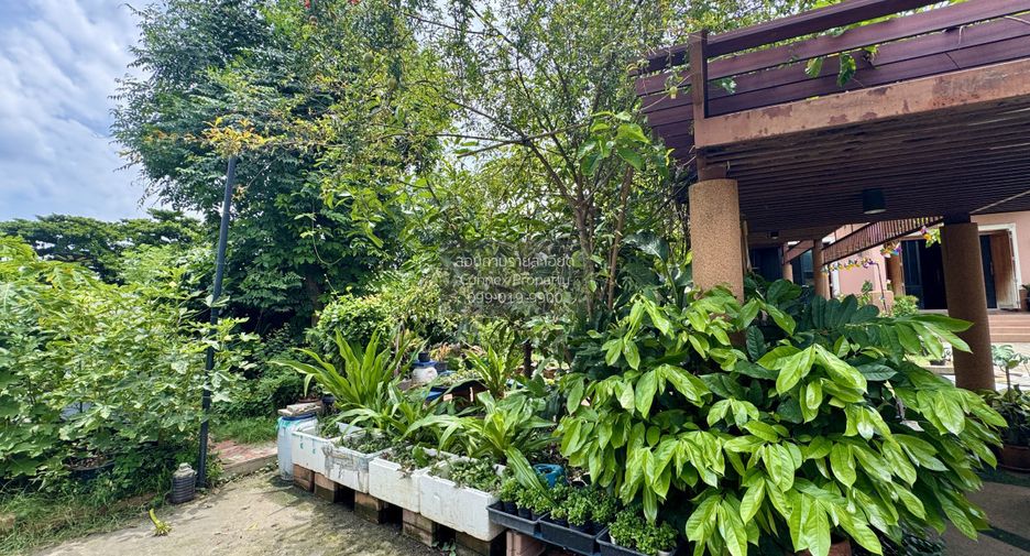 出售 8 卧室 独立屋 在 Bang Khae, 曼谷