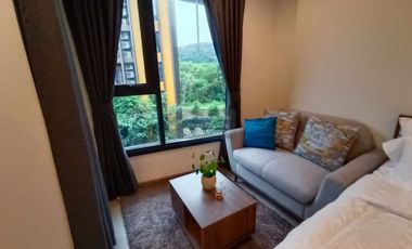 Wohnung zur Miete mit 1 Zimmer 
