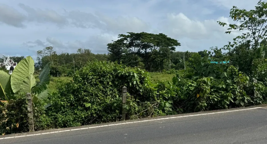 For sale land in Thalang, Phuket