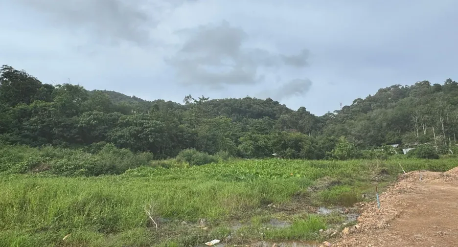 For sale land in Thalang, Phuket