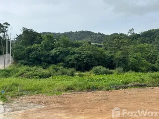 For sale land in Thalang, Phuket