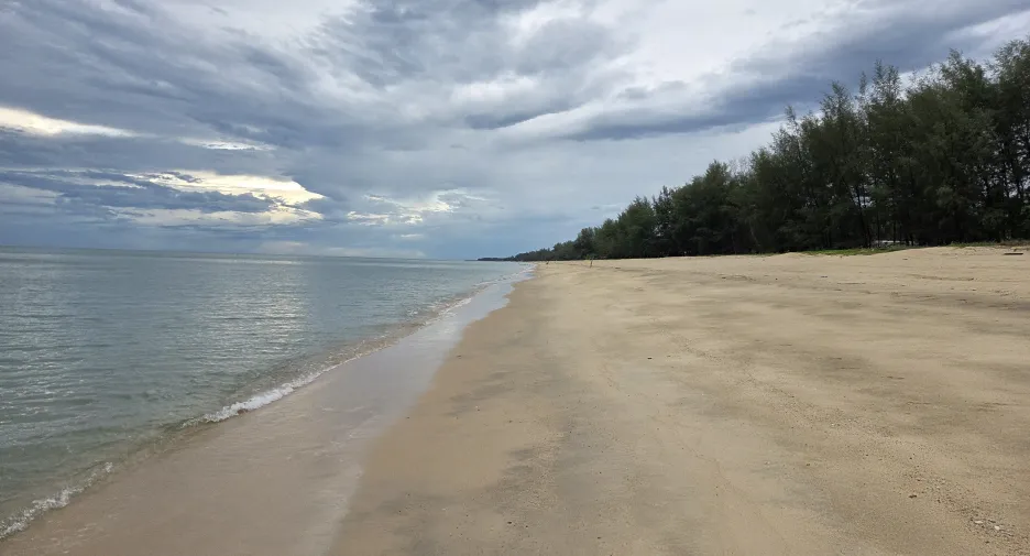 For sale land in Tha Sala, Nakhon Si Thammarat