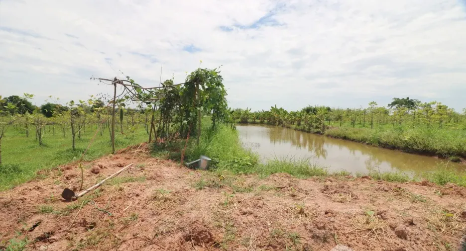 出售 土地 在 Mueang Nong Bua Lam Phu, Nong Bua Lam Phu