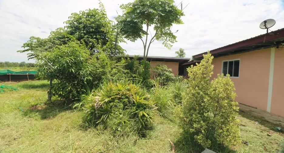 出售 土地 在 Mueang Nong Bua Lam Phu, Nong Bua Lam Phu